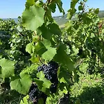 Au Coeur Du Vignoble Champenois *