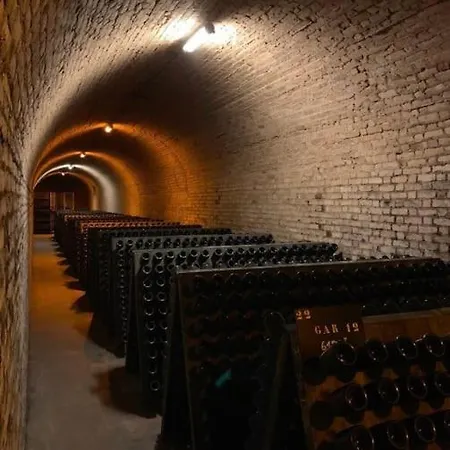Au Coeur Du Vignoble Champenois Apartment *
