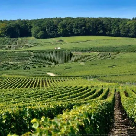 Au Coeur Du Vignoble Champenois Lejlighed Ay-Champagne