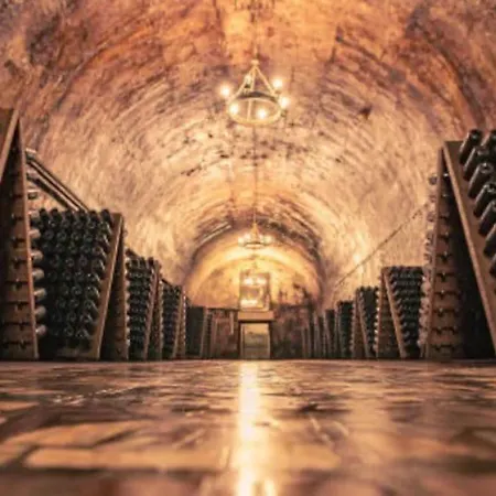Apartmán Au Coeur Du Vignoble Champenois Ay-Champagne