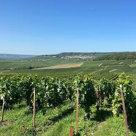 Au Coeur Du Vignoble Champenois * Ay-Champagne